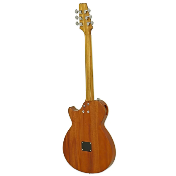Chitară electro-acustică ARIA Pro II ARIA Pro II Sunburst , 4/4 photo 4