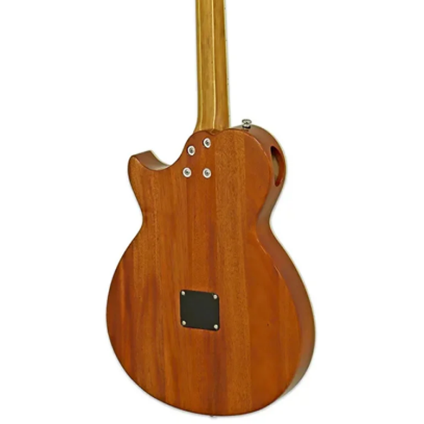 Chitară electro-acustică ARIA Pro II ARIA Pro II Sunburst , 4/4 photo 5