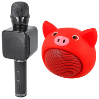 Microfon Maxlife MX-400 + ABS-100 Speaker Black 