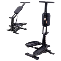 Stepper Insportline Astario Black 110 kg