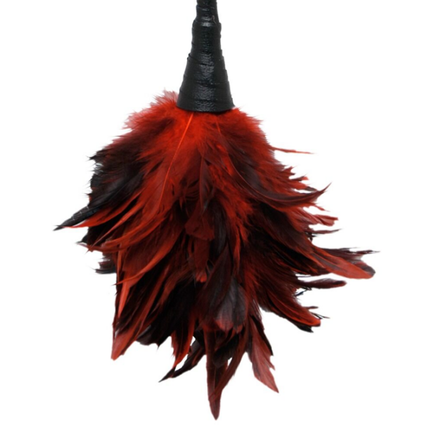 Перо для тиклинга Fetish Fantasy Frisky Feather Duster Красный  photo 3