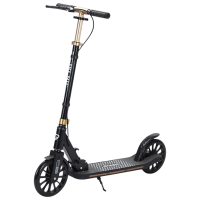 Trotinetă pentru copii cu două roți RTM T1 (95816) Black , 100 kg, Din PU