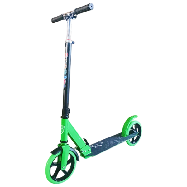 Trotinetă pentru copii cu două roți RTM 658 (16582) Green , 100 kg, Din PU photo 1