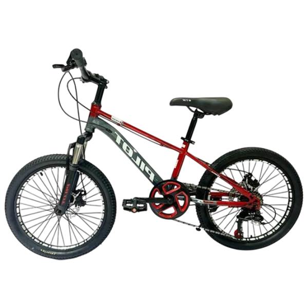 Bicicletă Richi Tichi GI-9/2 20" Red  Metal / Pentru copii photo 1