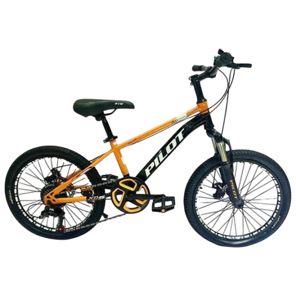 Bicicletă Richi Tichi GI-9/3 20" Orange  Metal / Pentru copii photo 2