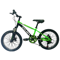 Bicicletă Richi Tichi GI-9/1 20" Green  Metal / Pentru copii