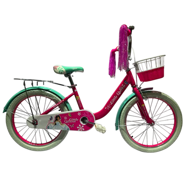 Bicicletă Caider GI-3/2 20" Green  Metal / Pentru copii photo 1