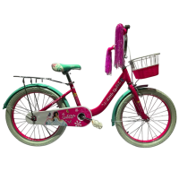 Bicicletă Caider GI-3/2 20" Green  Metal / Pentru copii