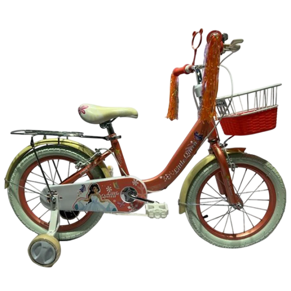 Bicicletă Caider GI-3/3 20" Orange  Metal / Pentru copii photo 1