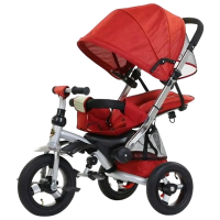 Triciclu Richi Tichi RT688 Red  Metal / Pentru copii