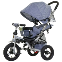 Triciclu Richi Tichi RT688 Gray  Metal / Pentru copii