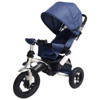 Triciclu Richi Tichi RT688 Blue  Metal / Pentru copii