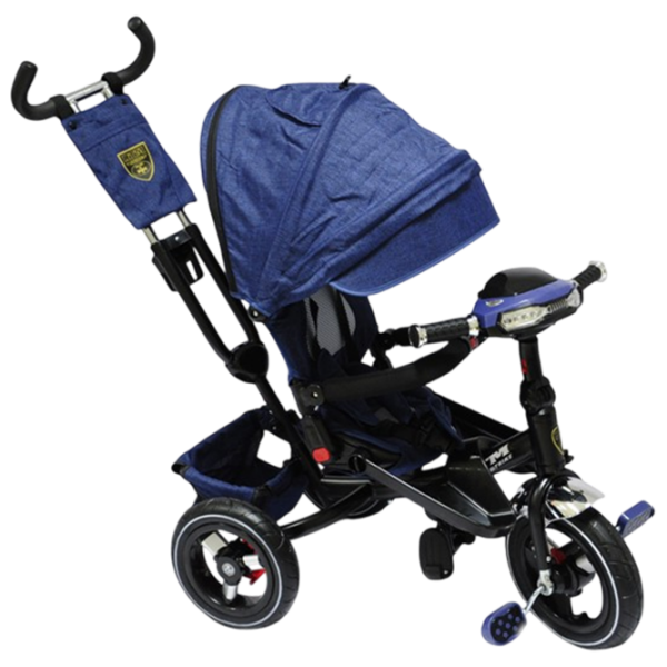 Triciclu Richi Tichi RTM300/2 Blue  Metal / Pentru copii photo 1