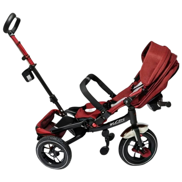 Triciclu Richi Tichi RTM300/3 Red  Metal / Pentru copii photo 3