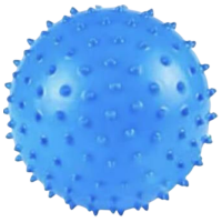 Jucărie interactivă Sportline 2410-1502/1500 12717 Blue Pentru copii, 