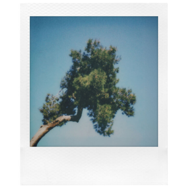 Cameră Foto Instant Polaroid Go Gen 3 E-Box Bundle (8 Shots) + White , , f/14.4 - f/32 photo 6