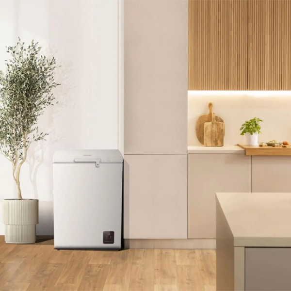 Морозильный ларь Gorenje FH15E6W5 Белый 141л, E, Электронное photo 5