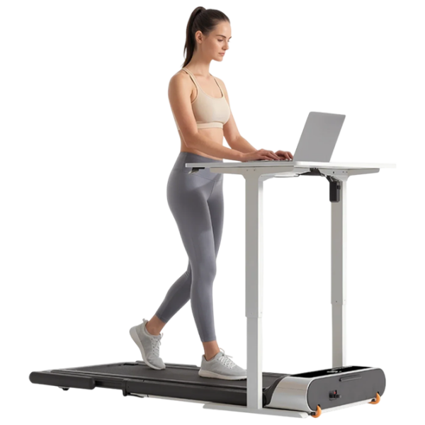 Беговая дорожка Kingsmith WalkingPad Foldable Treadmill R3 Hrbrid+ Серебряный 120 кг, 12 км/ч photo 6