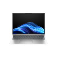 Ноутбук HP ProBook 4 G1iR 16 Pike Серебряный 16" | 24 ГБ | 1 ТБ | Intel Core i5 1334U | VGA Встроенная