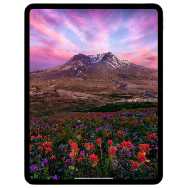 Планшет Apple iPad Pro 2024 13" Wi-Fi Серебряный 8 ГБ |
256 ГБ | 12 Мп | MWRH3NF/A photo 2