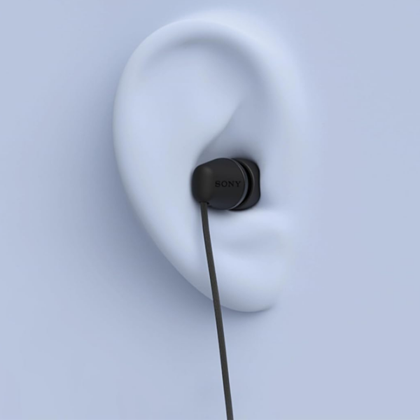 Наушники Sony IER-EX15C Синий Проводная / Персональный / Вкладыши photo 5