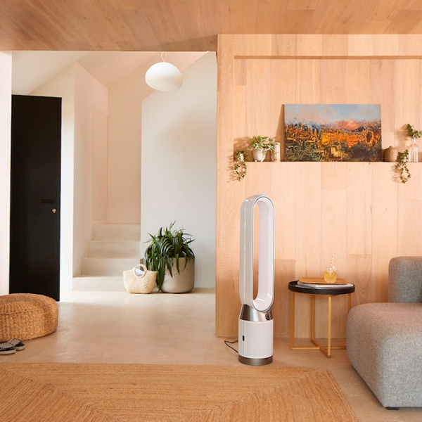 Purificator de aer Dyson TP10 Silver  photo 10