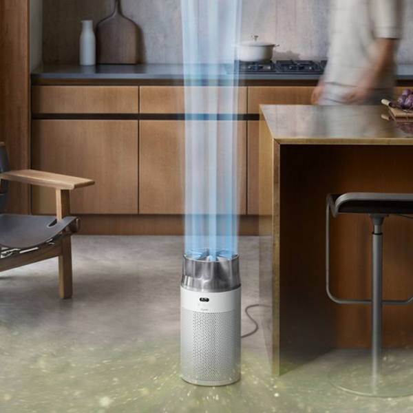 Очиститель воздуха Dyson HJ10 Серебряный  photo 5