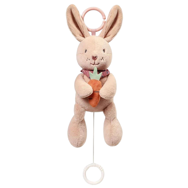 Jucărie moale BabyOno Rabbit Karo 1686 Multicolor 0+