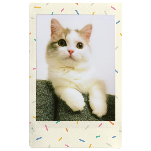 Фотобумага для Instax Mini (10шт.) Разноцветный  photo 4