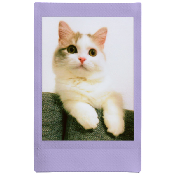 Фотобумага для Instax Mini (10шт.) Фиолетовый  photo 2