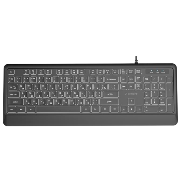 Клавиатура Gembird KB-UML-04-CYRL Черный Для дома и офиса, Проводная photo 1