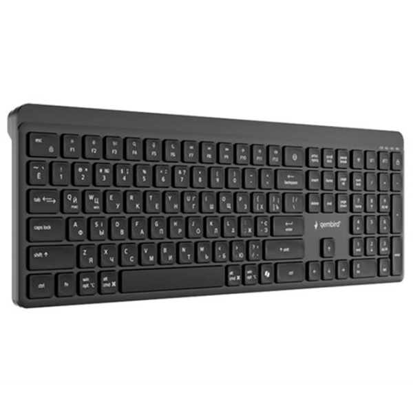 Клавиатура Gembird Slim Pro Business KB-WPS-03-CYRL Черный Для дома и офиса, Беспроводные photo 5