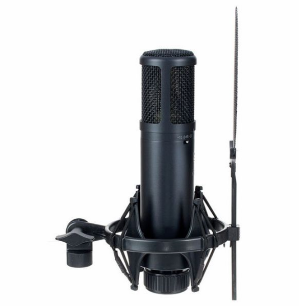 Микрофон SE Electronics sE2200 Черный  photo 2