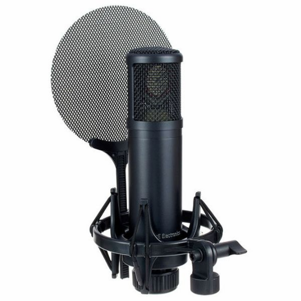 Микрофон SE Electronics sE2200 Черный  photo 4