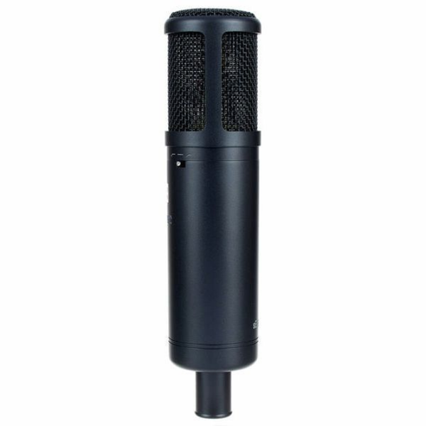 Микрофон SE Electronics sE2200 Черный  photo 9
